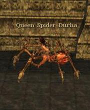 Queen Spider Durha